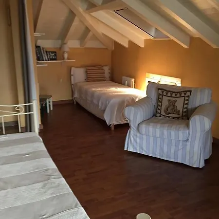 Dependance Yucca Apartment Ascona